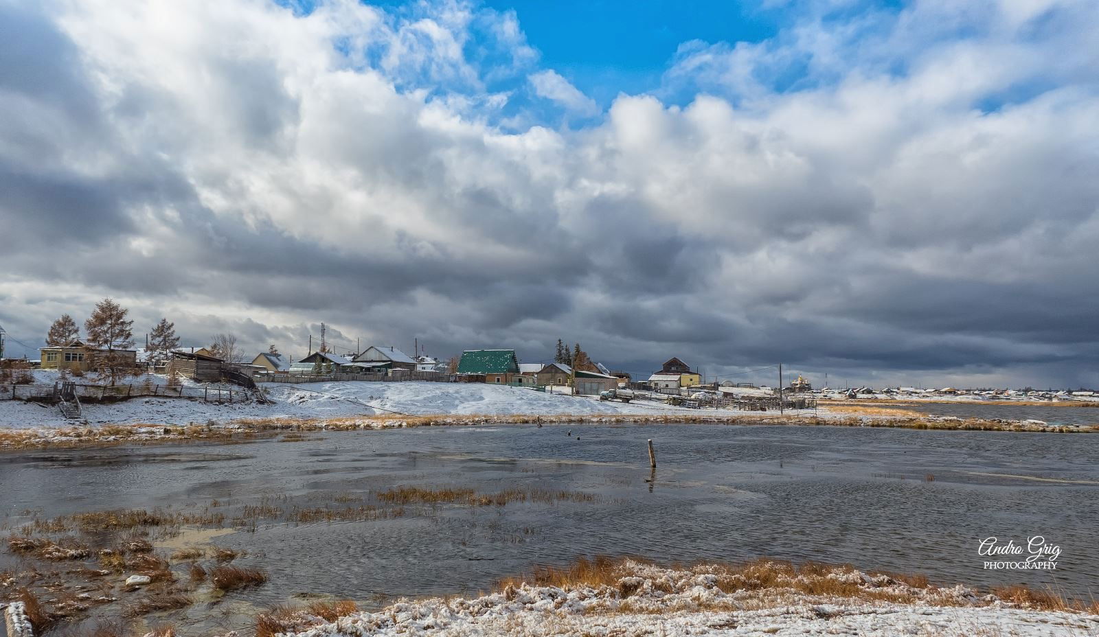 Елена Кузьмина