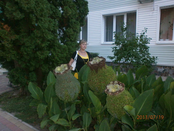 Ольга Петренко