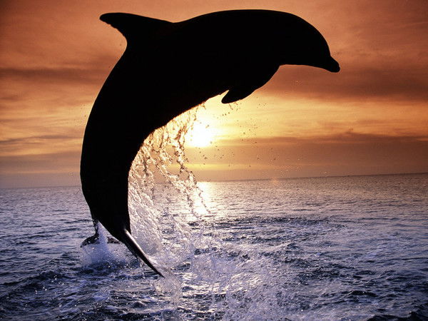 Ирина Ганихина