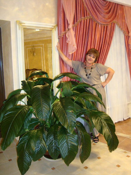 Любовь Яровая