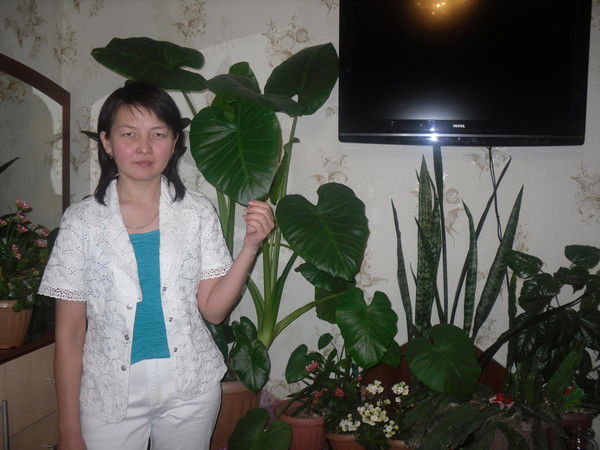 Гульжан Чубаева