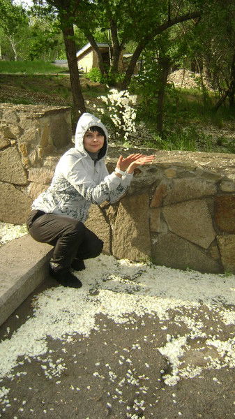 Елена Ваннер