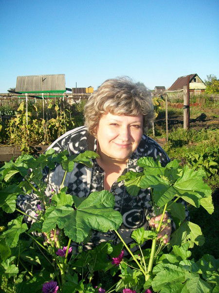 Елена Кашина