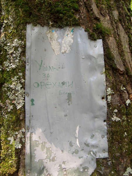 Дмитрий Ларин