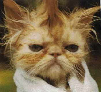 Екатерина Кладкевич