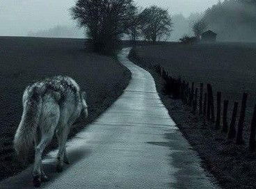 Иван Андреев