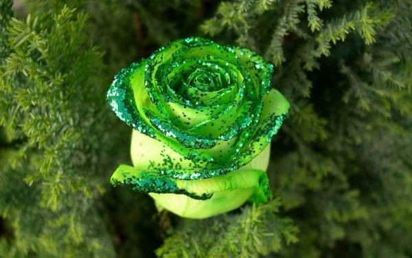 Юлия Колтакова