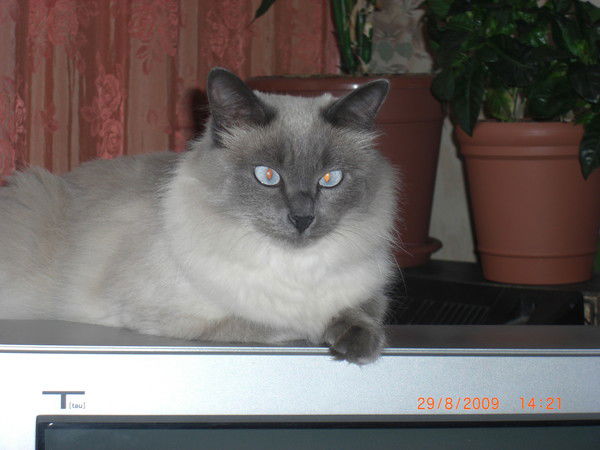 Лидия Постнова