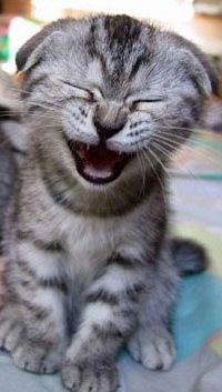 Петр Козлов