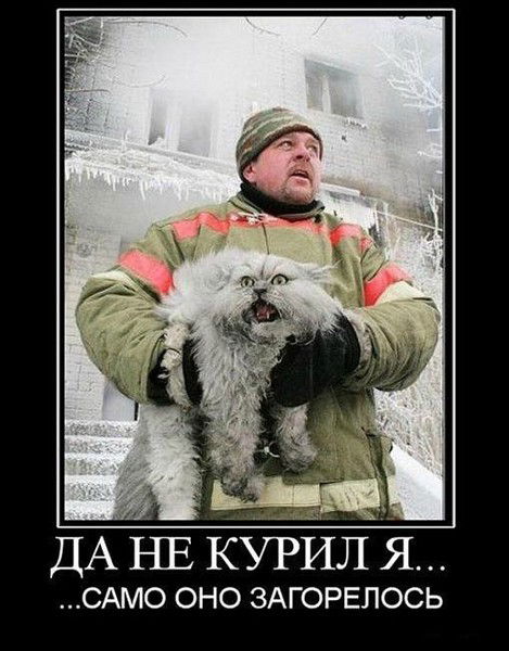 Александр Зайцев