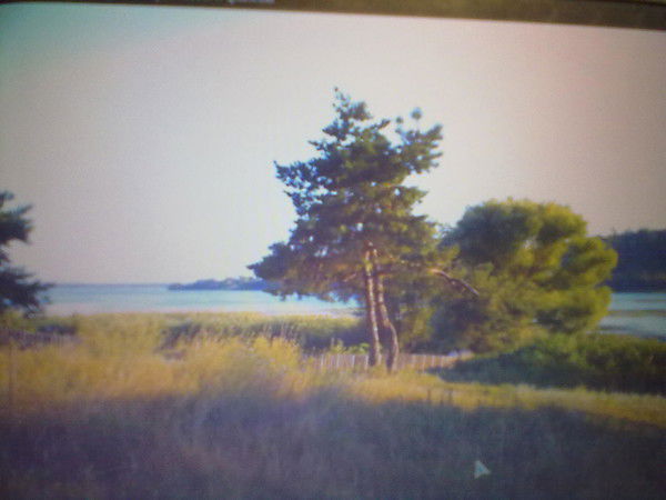 Евгений Владимирович