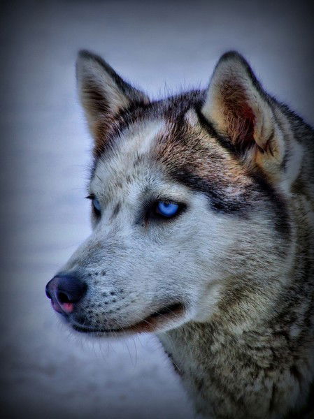 Руслан Гизатуллин