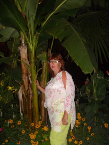 Елена Мордвова