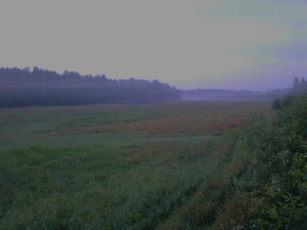 Александр Сачивко