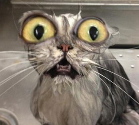 Алексей Ансимов