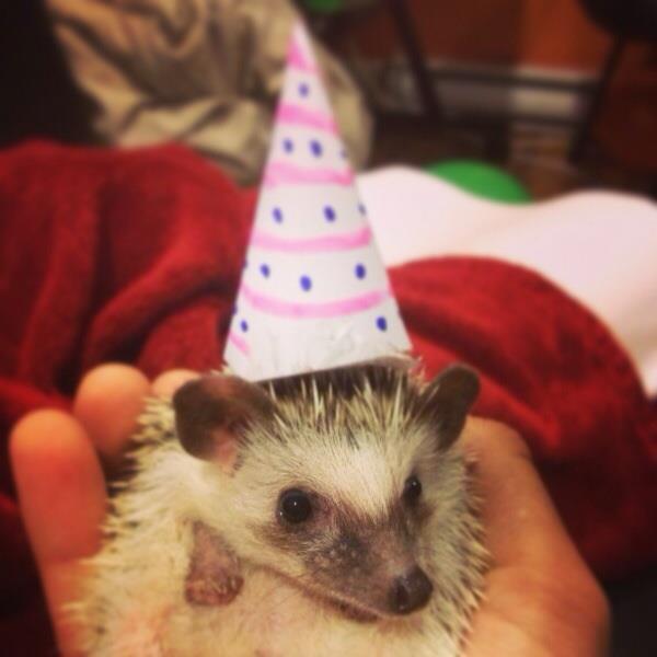 Александр Воротилин