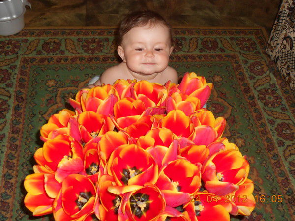 Дмитрий Дмитриев