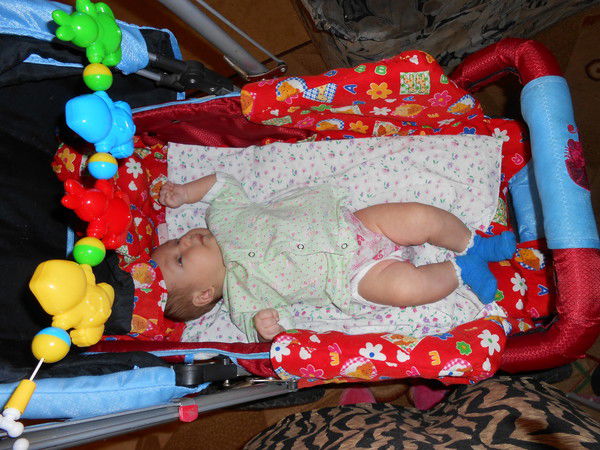 Елена Михайлова