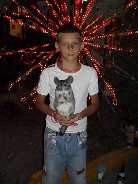 Тимур Тимофеев