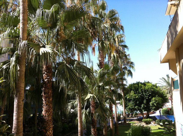 Сабина Макаш