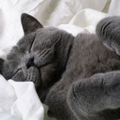 Захар Нажмутдинов