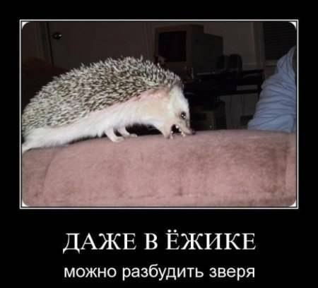 Таша Алёшкина