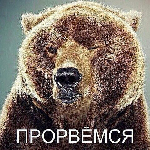 Арман Алина Сейтжапаровы