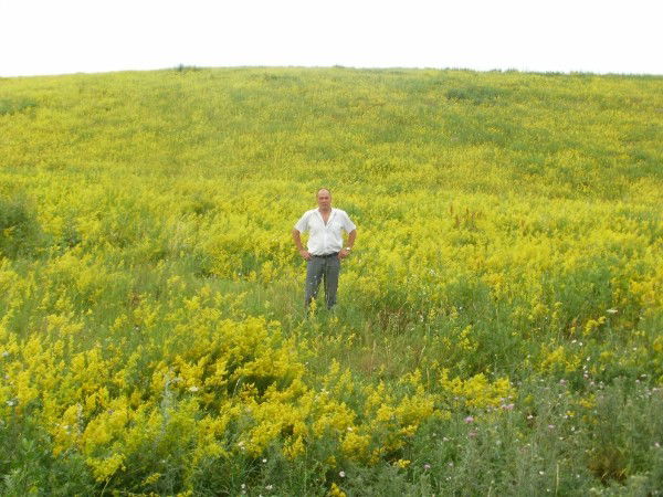 Владимир Бандура