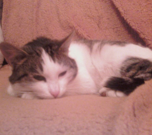 Айгуля Абдуллина