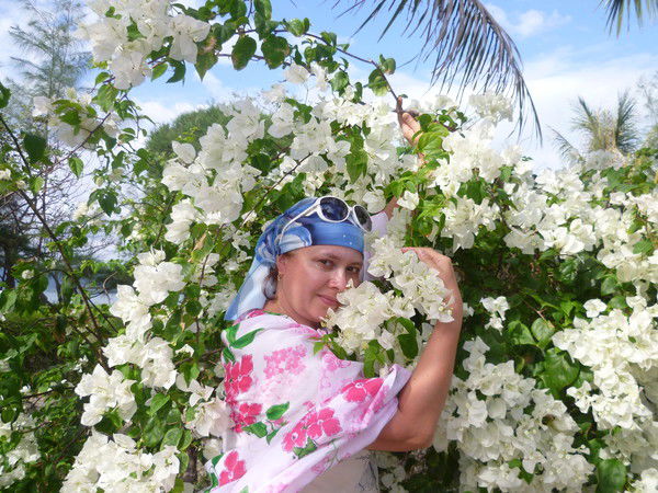 Елена Шпаченко