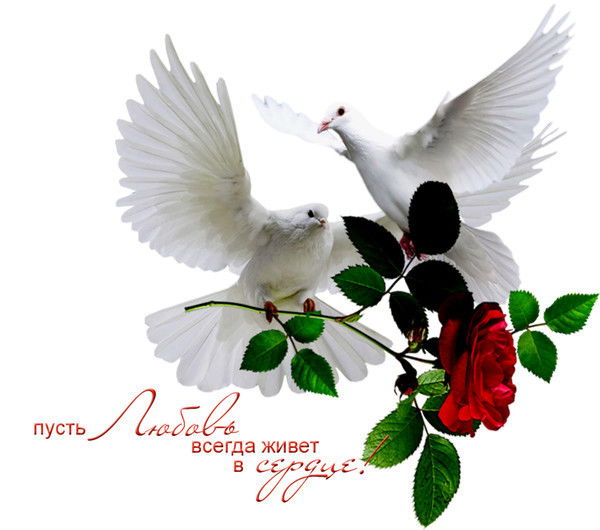 Марал Бисенбаева