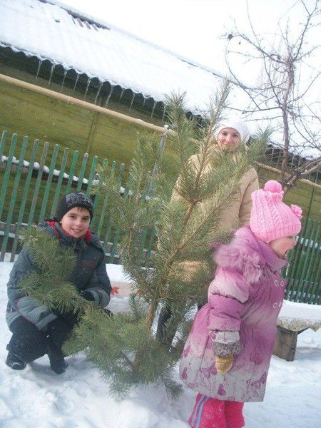 Александр Холодков