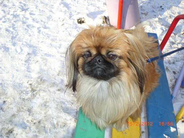 Олег Канапо