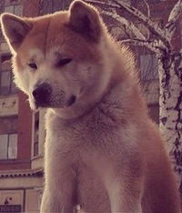 Юля Игонина