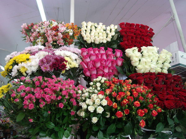 Анетка Терпелюк