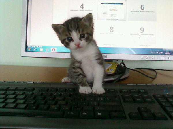 Магдалина Токарская