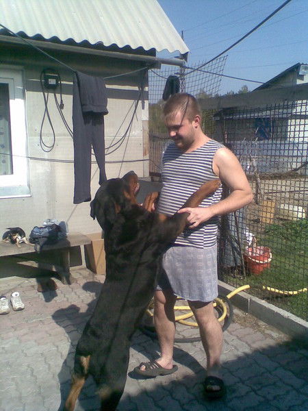 Николай Николаев