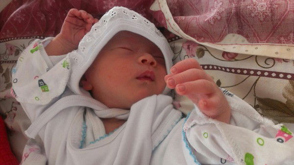 Улар * * * * * *