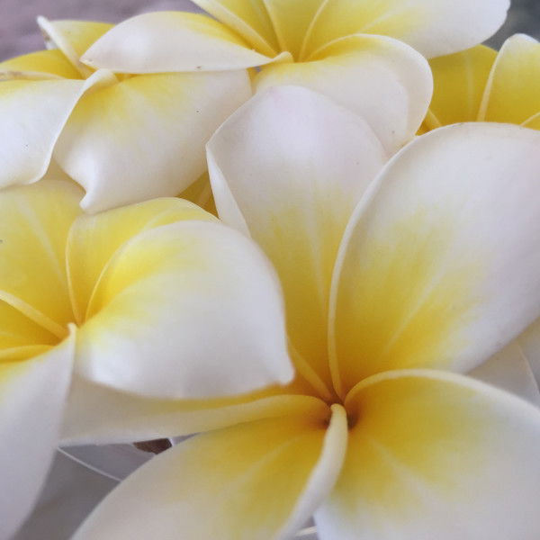 Виктория Сергеева