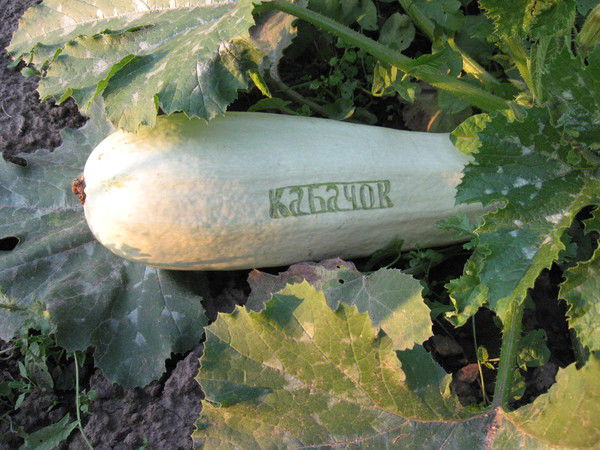 Константин Садовский