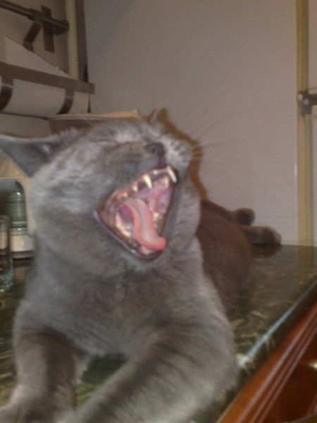 Егор Леонов