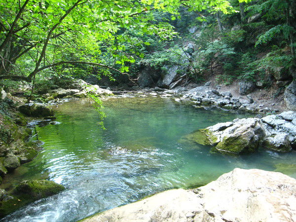 Мария Холмогорова