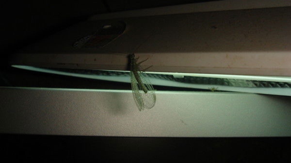 Евгений Гуров