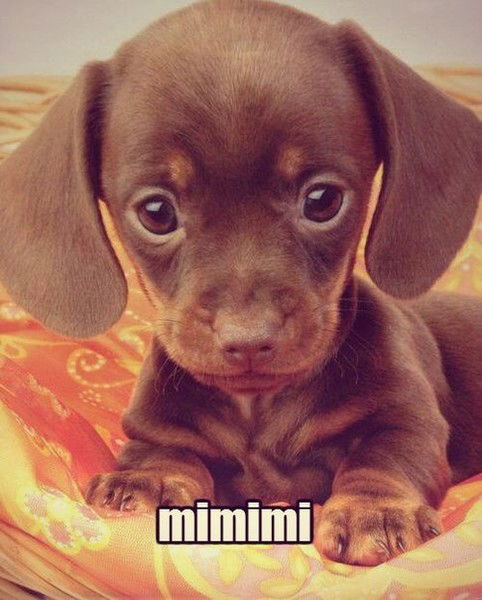 4Ум()В()Й Дин()З@врiк