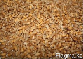 Тоо Мелькомбинат Кокше