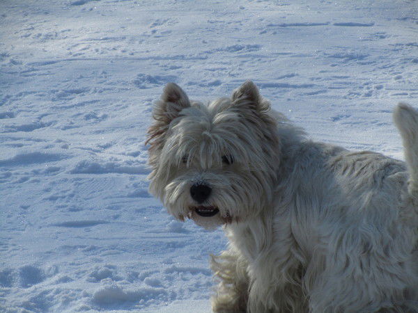 Татьяна Шадрина