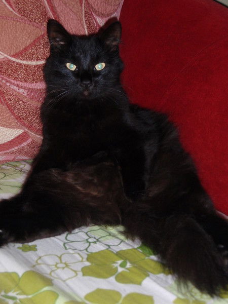 Бармалей Разбойник