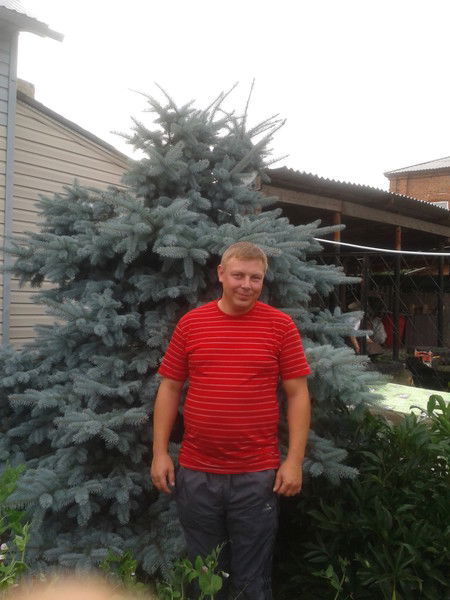 Алексей Лапин