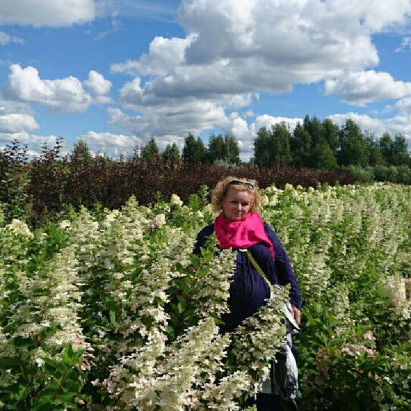 Елена Иванова