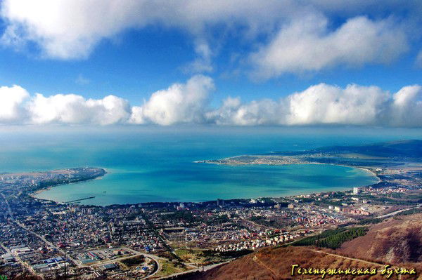 Елена Гущина